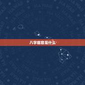 八字临官是什么，八字里有两个临官，该人是不