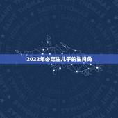 2022年必定生儿子的生肖兔，2022运势生肖龙运势详解