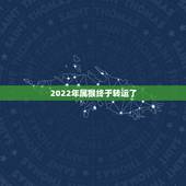 2022年属猴终于转运了 1992年是苦命猴还是富猴