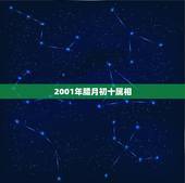 2001年腊月初十属相，1996年腊月十二月初十出生属什么？谢谢