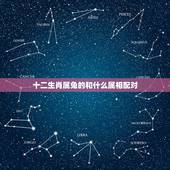 十二生肖属兔的和什么属相配对，属兔男和什么属相最配