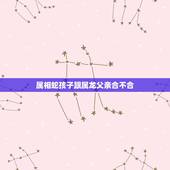 属相蛇孩子跟属龙父亲合不合，属龙和属龙的合不合