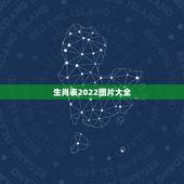生肖表2022图片大全，生肖表2022 年图正宗版