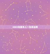 2003年属羊人一生命运男，2003年属羊男孩2022 命运