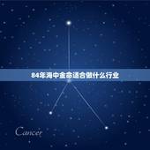 84年海中金命适合做什么行业，海中金命合适做什么行业？财运如何？