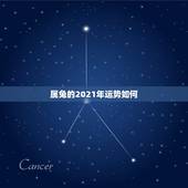 属兔的2021年运势如何，2021年属兔人的运程