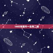 1985年属牛一生有二婚，1985年属牛女人一辈子有几次婚姻