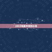 2022年属牛吉利小名，牛宝宝取名大全2022 款
