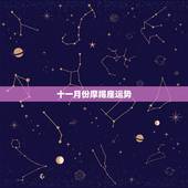 十一月份摩羯座运势，摩羯座2011的运程