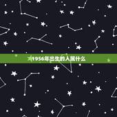 1956年出生的人属什么，1956年五行属什么命