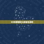 95年猪婚配96年鼠合适吗，95年属猪的和96年属鼠的般配吗？在一起会