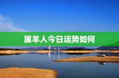 属羊人今日运势如何，属羊的人，今天跟属蛇的和属牛的打麻将财运如何