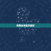 婚姻生肖配对最好，十二生肖属相婚姻相配