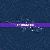 十二星座谁最漂亮，十二星座谁最美？