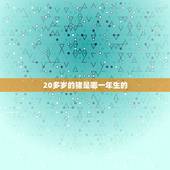 20多岁的猪是哪一年生的，属猪的生肖是哪些年份