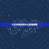 六五年的蛇和什么属相相配，六五年属蛇的八五年属牛的婚配