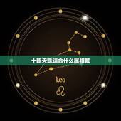 十眼天珠适合什么属相戴，天珠对应的属相是什么