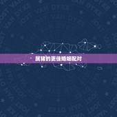 属猪的更佳婚姻配对，周易八字合婚免费测试