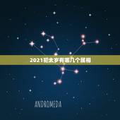 2021犯太岁有哪几个属相，2021犯太岁的生肖有哪些