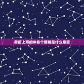 黄历上写的冲各个属相是什么意思，黄历里的冲煞属相是什么意思？