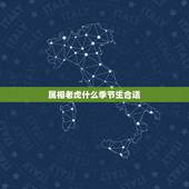 属相老虎什么季节生合适，属虎什么时辰出生好