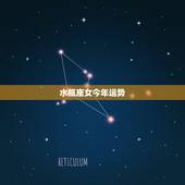 水瓶座女今年运势，水瓶座女生今年的运势(各方面)