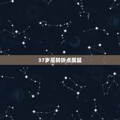37岁是转折点属鼠，84鼠女2022 年贵人是谁