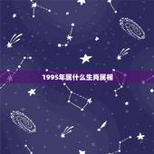1995年属什么生肖属相，1995年属什么生肖