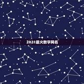 2021最火数字网名，2021最火的新网名有哪些？