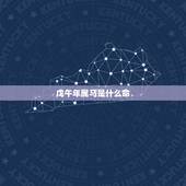 戊午年属马是什么命，戊午年生天上火命