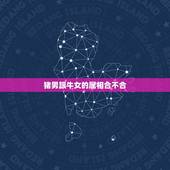 猪男跟牛女的属相合不合，97属牛的和95属猪结婚
