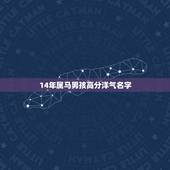 14年属马男孩高分洋气名字，属马的男孩子，2014-2-21，下午14