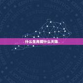 什么生肖戴什么天珠，十二生肖适合戴什么天珠