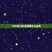 1993年1月6日婚配什么生肖，93年属鸡的属相婚配表