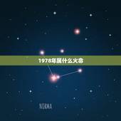 1978年属什么火命，1978年属马的到底是火命还是土命