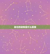 身壮的动物是什么属相，十二生肖中高大强壮的动物是什么