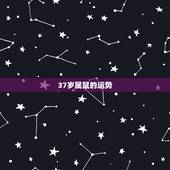 37岁属鼠的运势，2022 年属鼠84年财运如何
