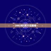 2002年1月11日属相，2002年的人属什么？_？