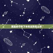 属鼠的今年下半年运势怎么样，72属鼠49岁大运以后运势