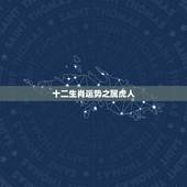 十二生肖运势之属虎人，十二生肖虎今年运程怎么样