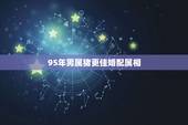 95年男属猪更佳婚配属相，95年属猪男更佳婚配年龄