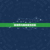 属相狗与哪些属性匹配，属蛇的和什么属相最配 揭秘最佳婚配表