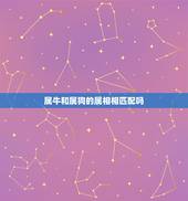 属牛和属狗的属相相匹配吗，73年属牛与82年属狗相配吗？可以做夫妻吗？