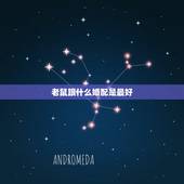 老鼠跟什么婚配是最好，属鼠最合适的婚配