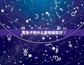 男兔子和什么属相最配对，属兔男更佳配偶属相
