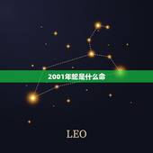 2001年蛇是什么命，2001年属蛇人是什么命
