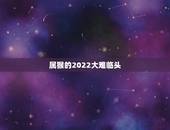 属猴的2022大难临头，2022生肖猴