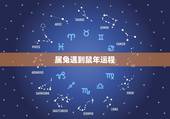 属兔遇到鼠年运程，属兔人今日运势查询