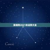 属相狗2021年运势大全，属狗的人2021年的运势及运程？