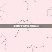 男猪与女马的属相相配吗，马和猪相配婚姻能长久吗